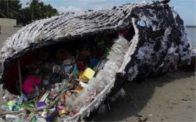Déchets plastiques